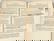 669: Gray Flora North America 1838-1843 softcover rare - 9
