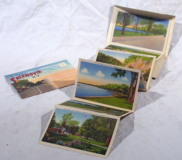 New Old Stock CAZENOVIA NY Vintage Postcards