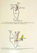 Biology HARVEY LECTURES 1905-1953 Physiology Medicine - 4