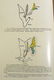 Biology HARVEY LECTURES 1905-1953 Physiology Medicine - 5