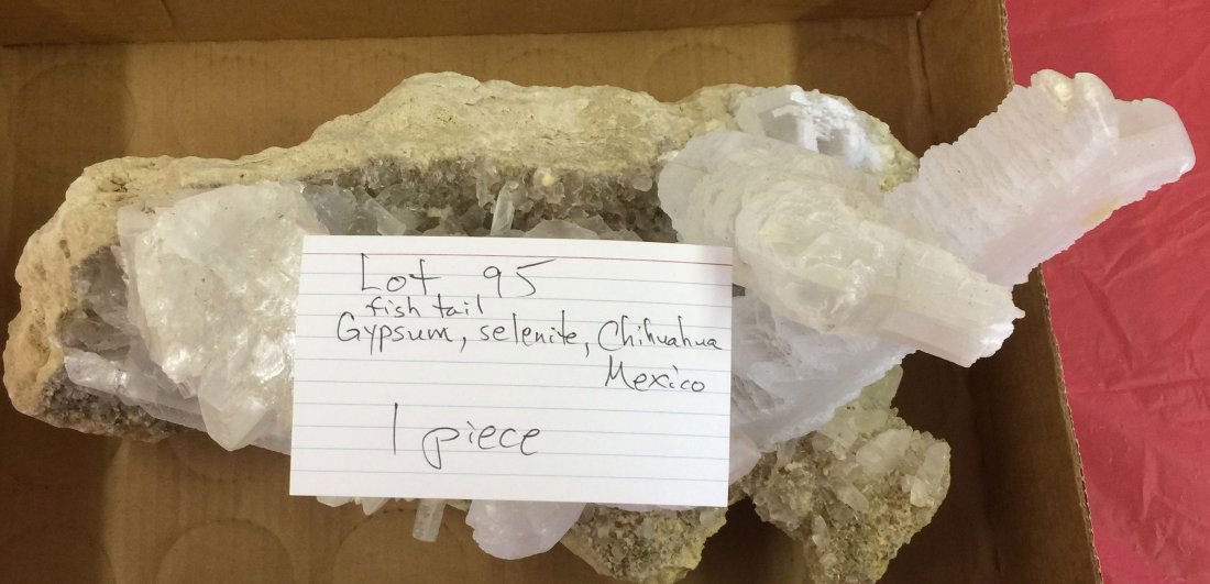 1 PC FISHTAIL GYPSUM, SELENITE FROM CHIHAUHUA, MEXICO (1 of 2)