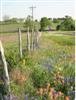 TEXAS LAND, BLUEBONNET COUNTRY CLUB, 0.60 AC, CAS