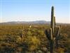 ARIZONA LAND, PHOENIX AREA, 6,650 SQ FT, TERMS