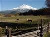CALIFORNIA LAND, NORTHERN CALIFORNIA, 2.6 AC, CAS
