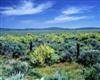 CALIFORNIA LAND, ALTURAS AREA, 0.98 AC, TERM