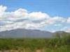 ARIZONA LAND, ARIZONA SUN SITES, 0.51 AC, TERM