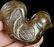 A HETIAN JADE CARVED ROOSTER SHAPED PENDANT - 8