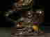 item-104494920=4