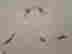 item-107878843=5