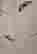 item-107878843=6
