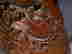 item-112719355=5