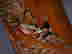 item-112719355=6