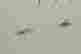 item-115113077=4