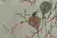 item-115113077=6