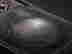 item-121319379=9