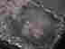 item-121319380=5