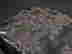 item-121319380=6