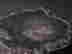 item-121319380=7