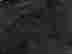 item-121319380=9