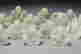 item-128952032=3