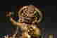 item-129077359=2