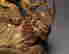 item-131512742=6