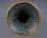 item-131512812=8