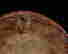 item-131938578=4