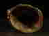 item-133234663=8