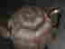 item-134406533=6