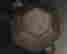 item-134406533=9