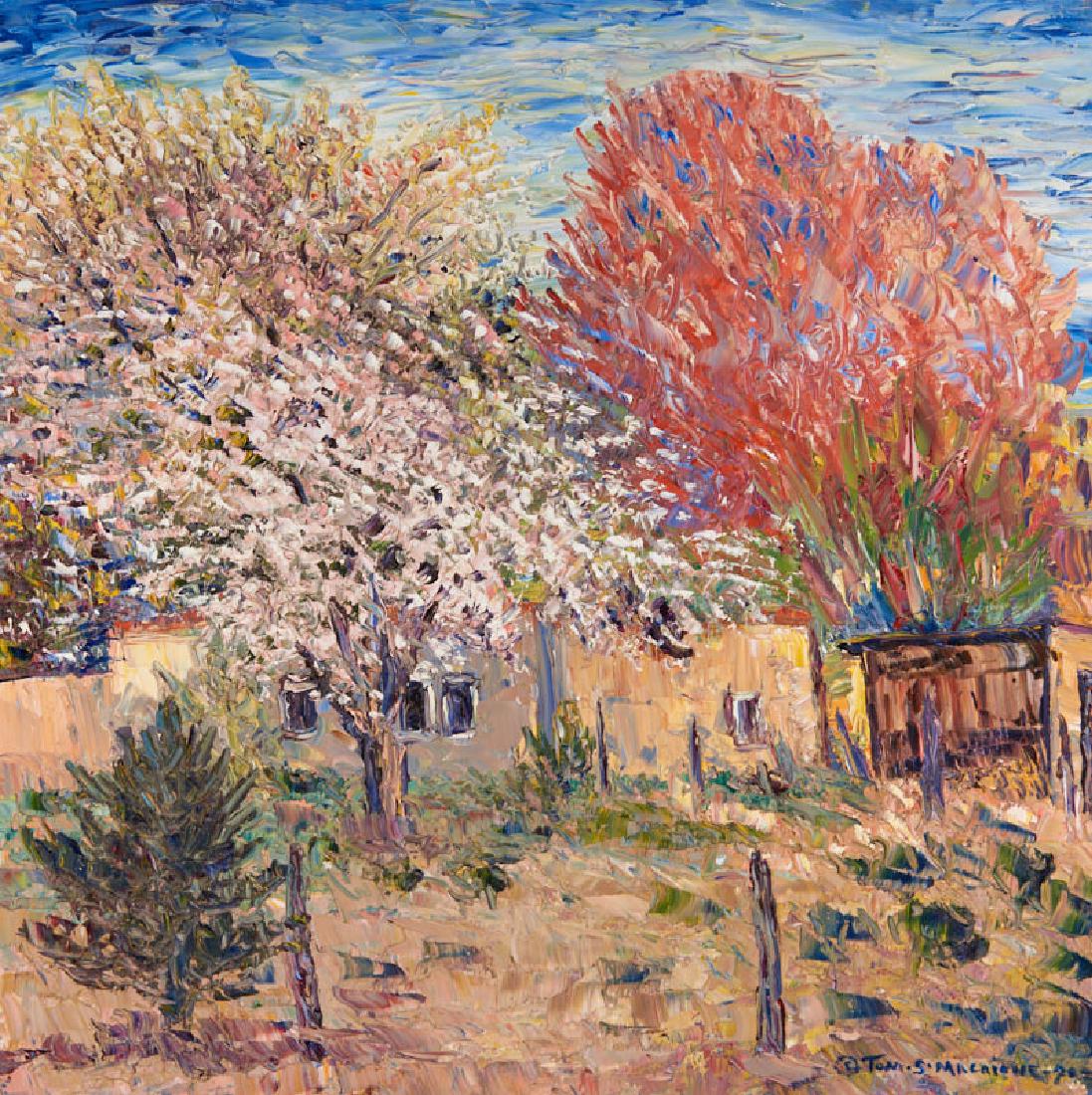 Tom S. Macaione | Spring Blossoms, Northern New Mexico (1 of 1)