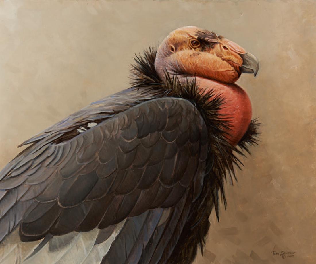 Ray Sexton | The End (1 of 1)