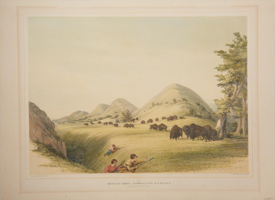 George Catlin | Buffalo Hunt, Approaching In a Ravine: Artist: George Catlin | 1796-1872 NA Title: Buffalo Hunt, Approaching In a Ravine In plate l/l: Catlin del on Stone by McGahey; l/r: Day & Haghe, Lithrs. to the Queen. Signed in margin center: No 11. 