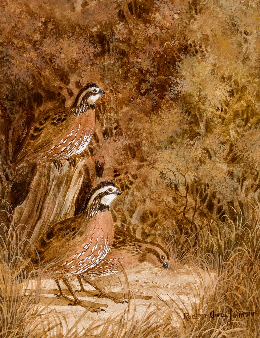 Robert Quill. Johnson | Pair of Quail (1 of 2)