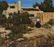 Burt Procter | Adobe Home