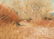 Dan Bodelson | Coral Sands, New Mexico