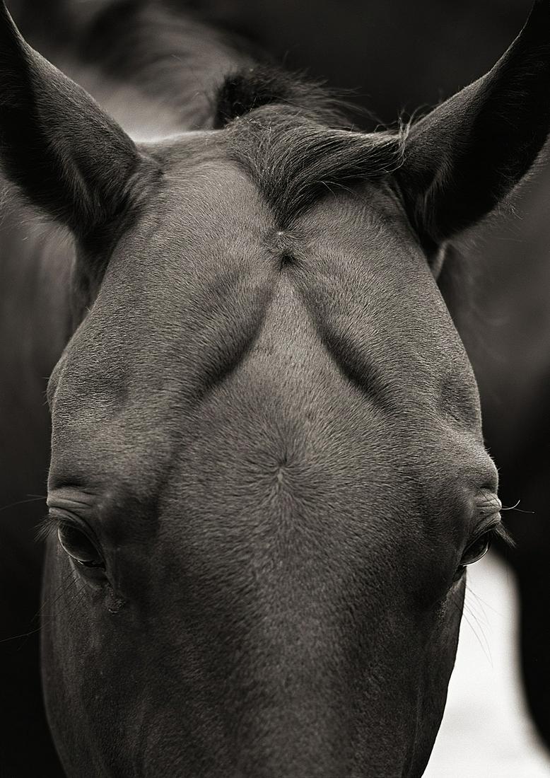Jay Dusard | The Bay, unframed (1 of 1)