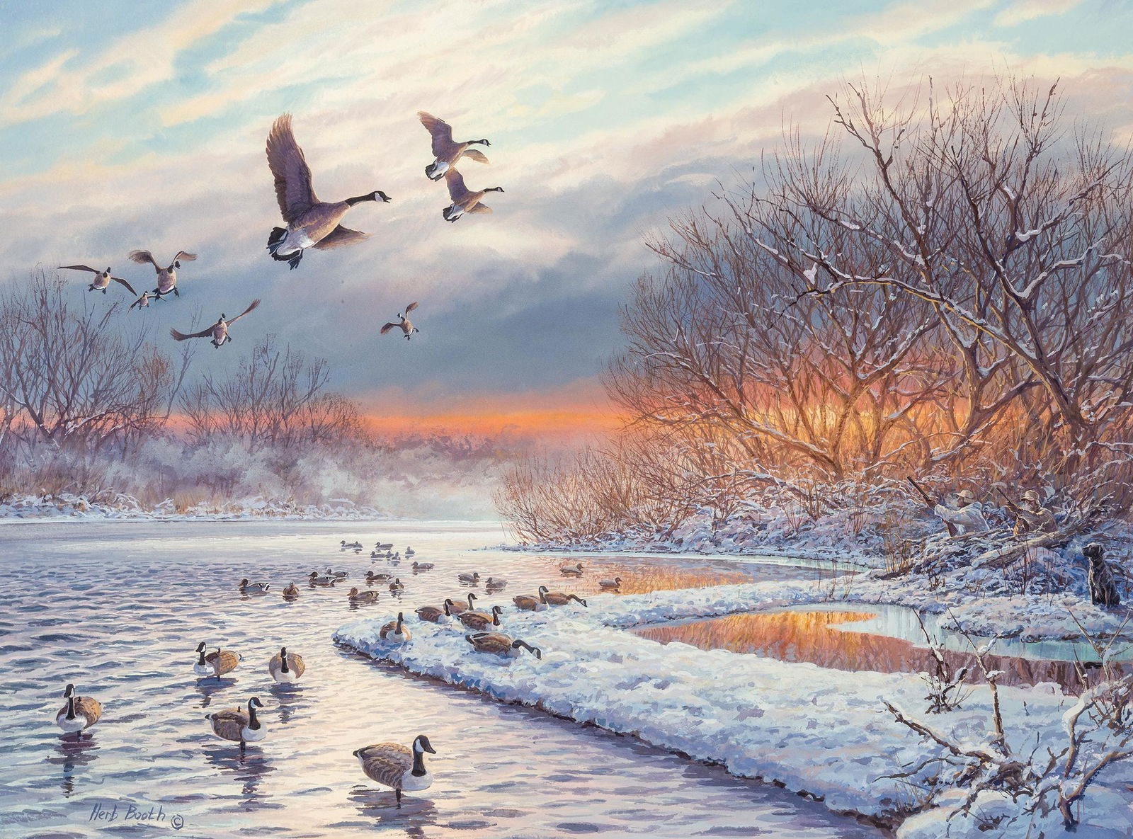 Herb Booth | Canadian Geese and Decoys (1 of 2)