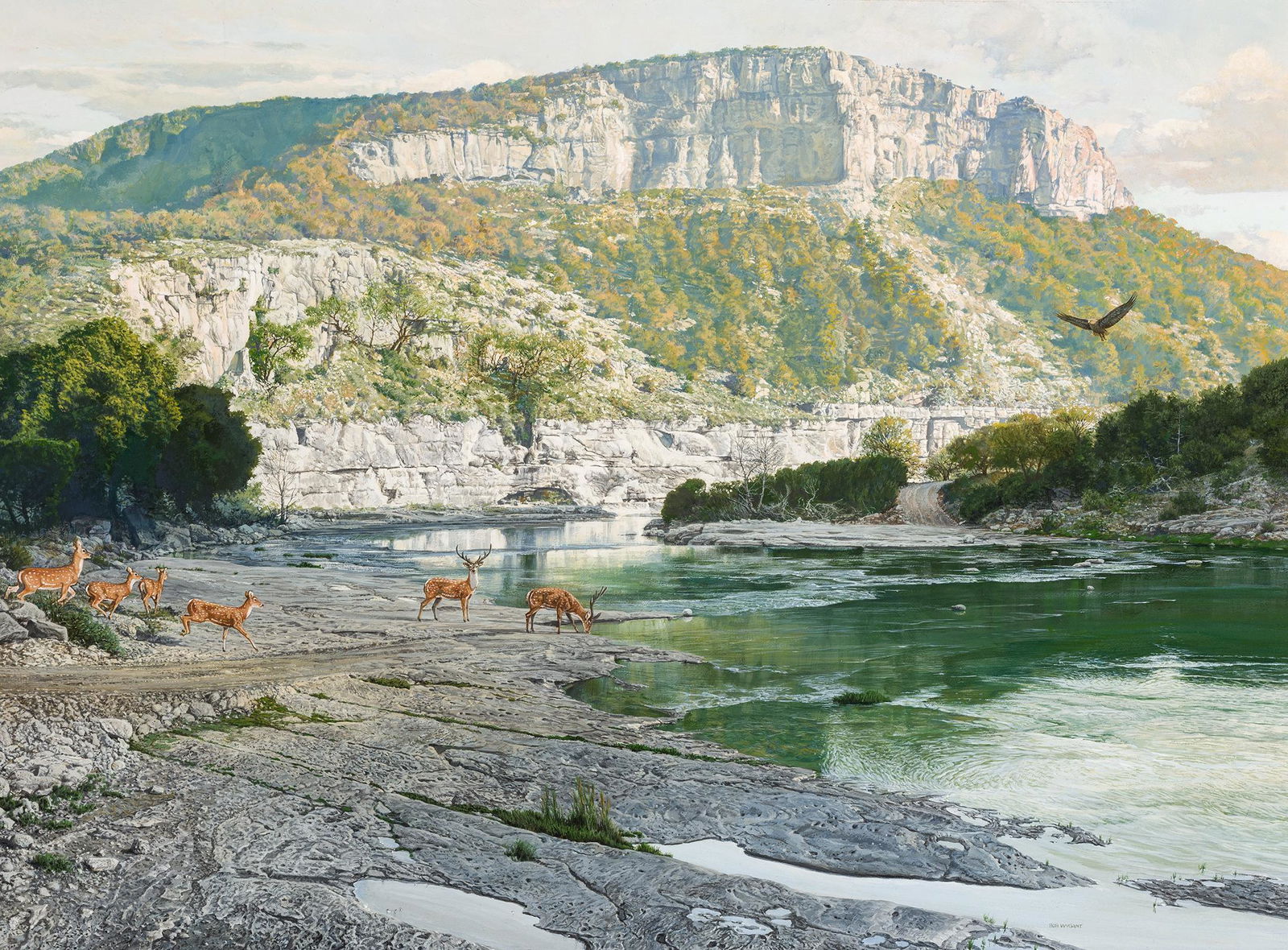 Bob Wygant | Eagle Bluff (1 of 2)