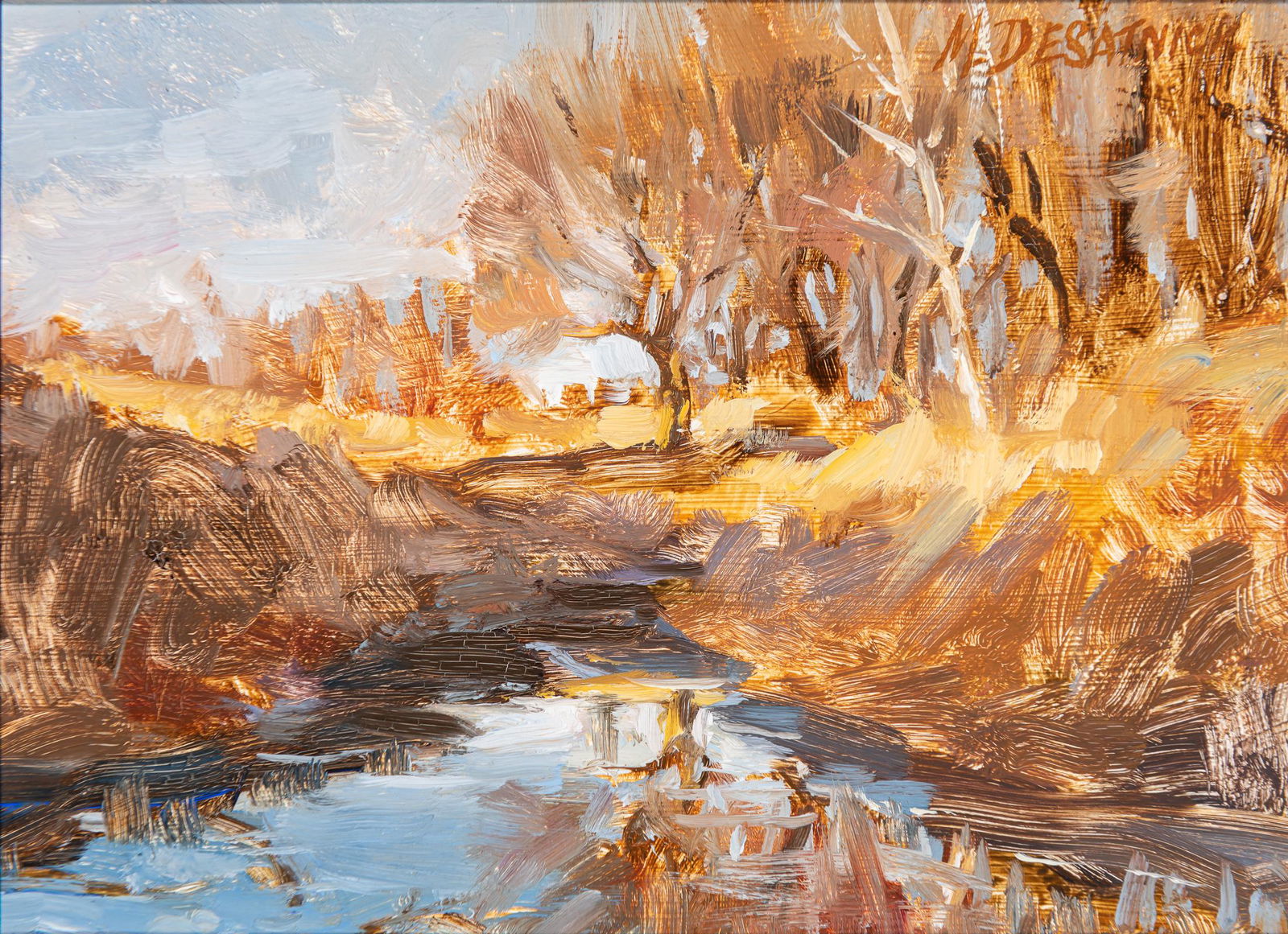 Mike Desatnick | Landscape Study (1 of 2)