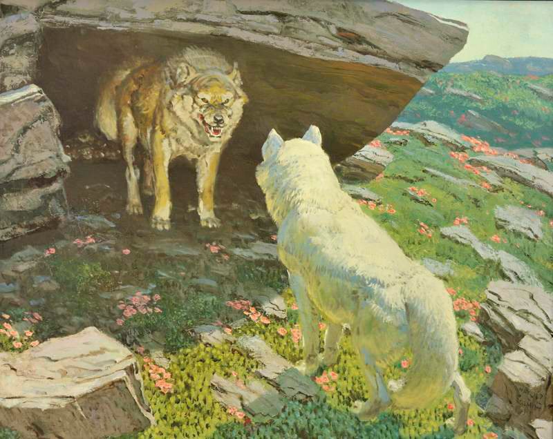 Harold Von Schmidt Husky and White Wolf: Oil on canvas 28 by 35 inches Signed; Harold Von Schmidt 1954, l/r
