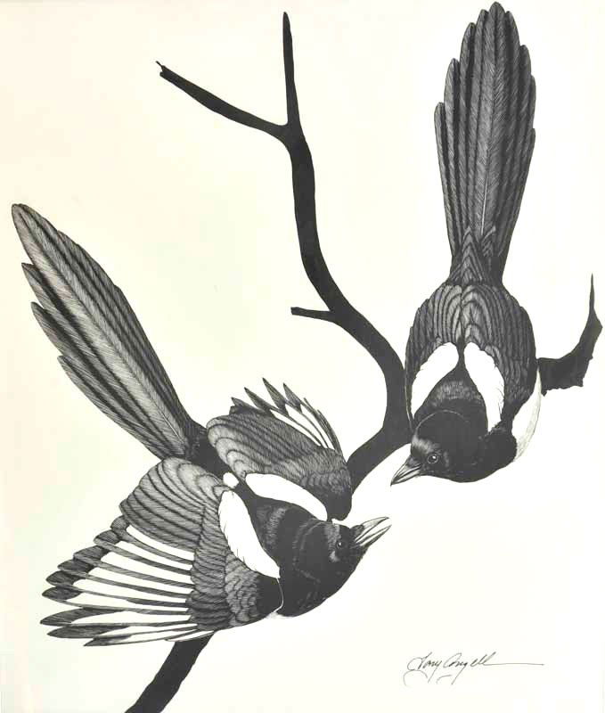 Tony Angell Magpies: Pen and ink on paper 25 by 20 inches Signed; Tony Angell, l/r