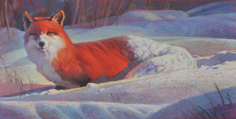 Nancy Glazier 'Red Fox in Snow ': Mixed media on paper 15 by 30 inches Signed; 'N. Glazier © '06',l/l
