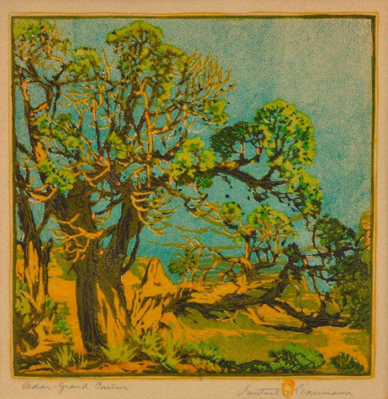 Gustave Baumann 'Cedar - Grand Canyon': Woodblock print on paper 14 x 14 inches Signed; '(in pencil in margin) 'Gustave Bauman (with artist's stamp) l/r; 'Cedar - Grand Canyon', ink stamp; "5", l/c', l/r