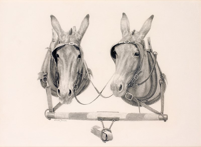 Wayne Baize b. 1943 CAA | Working Partners: Wayne Baize b. 1943 CAA | Working Partners Signed l/l: Wayne Baize | Media: Graphite on paper | Dimensions: 14 by 18 1/2 inches