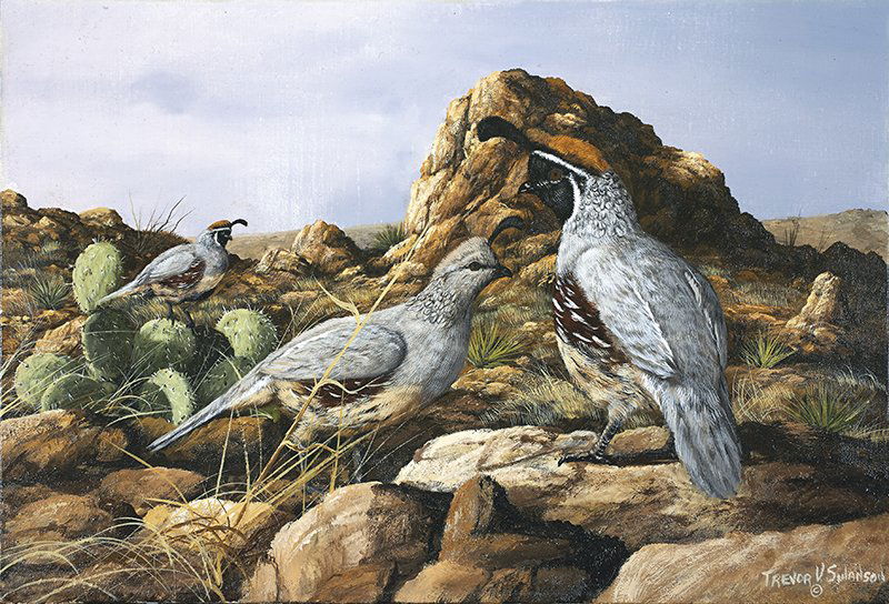 Trevor V. Swanson | b. 1968 Desert Morning (1 of 1)