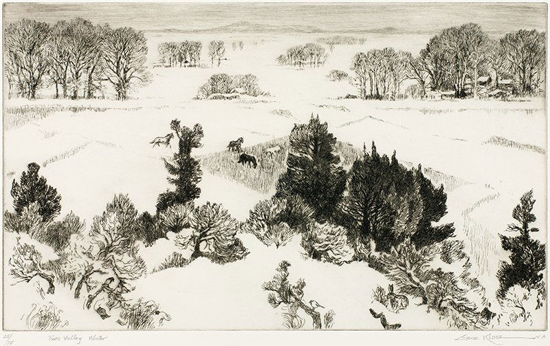 Gene Kloss | Taos Valley Winter (1 of 1)