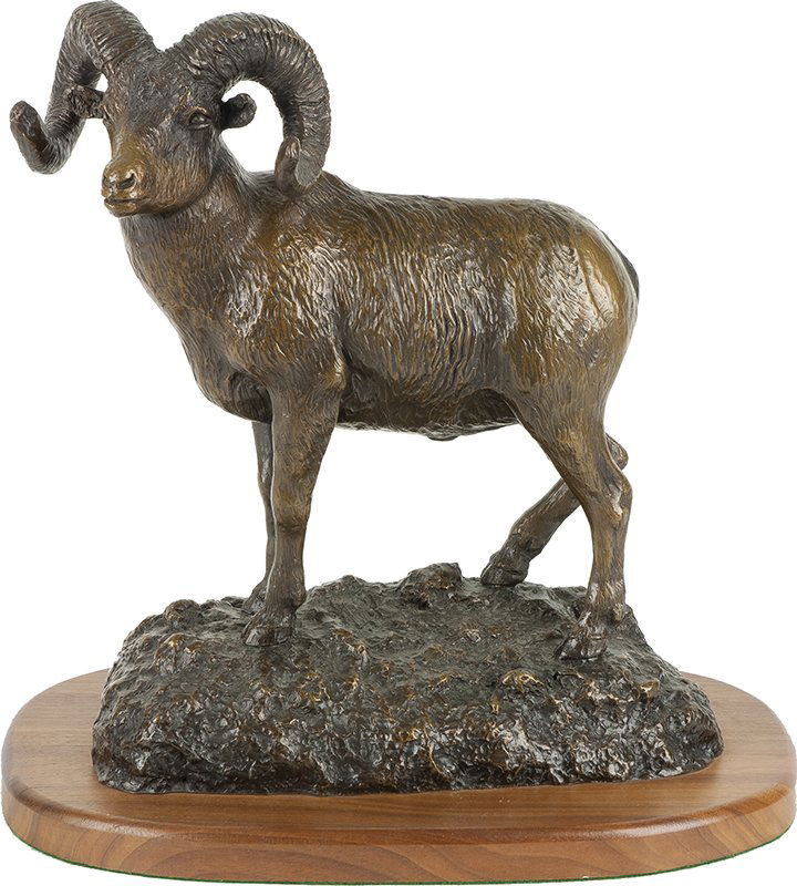 George Dabich | Ram (1 of 1)