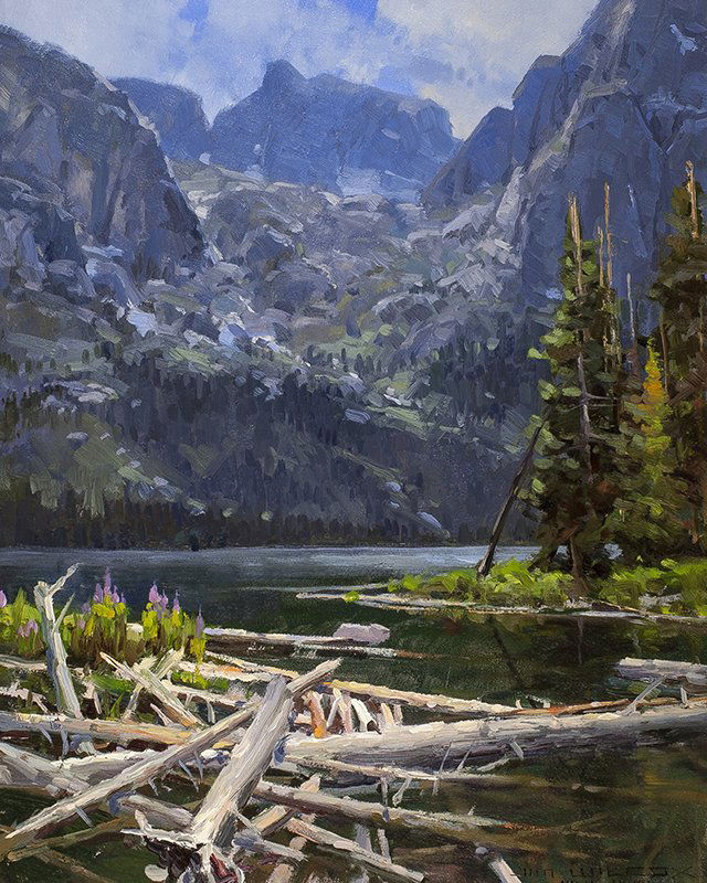 Jim Wilcox | Lake, Mountains, Logs (1 of 1)